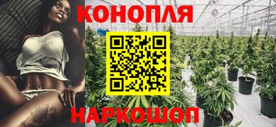 гашик Кулебаки