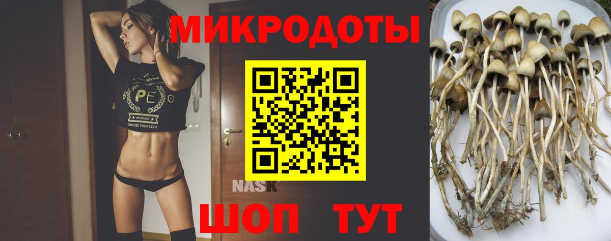 Псилоцибиновые грибы MAGIC MUSHROOMS  Вход с VPN  Алапаевск 